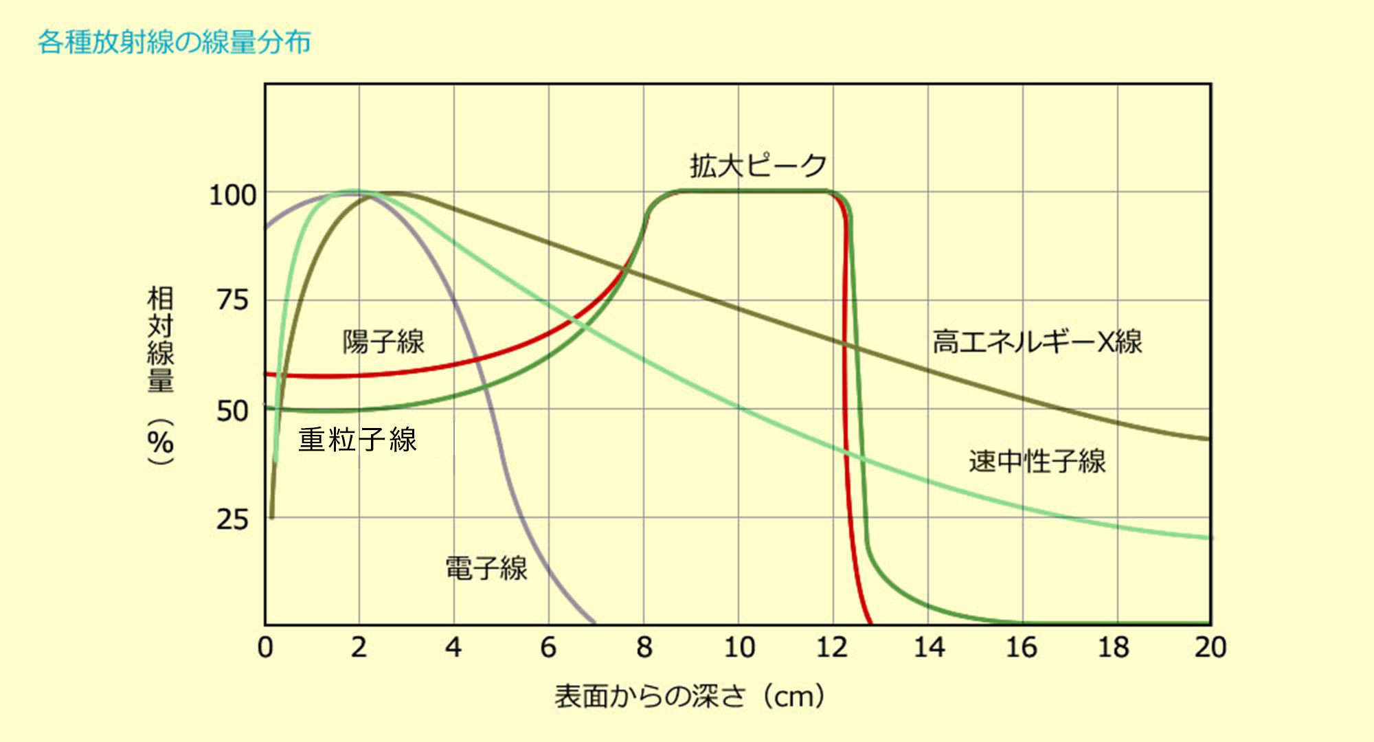 粒子の大きさ