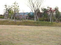 病室からの風景
